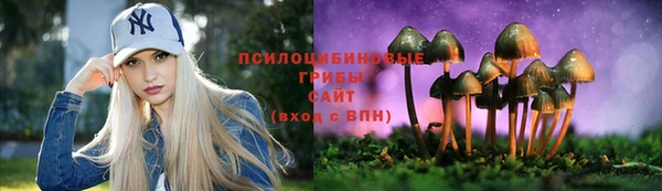 мяу мяу мука Алексин