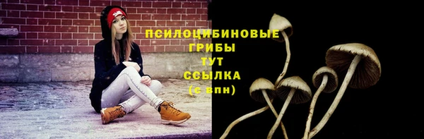 амф Армянск