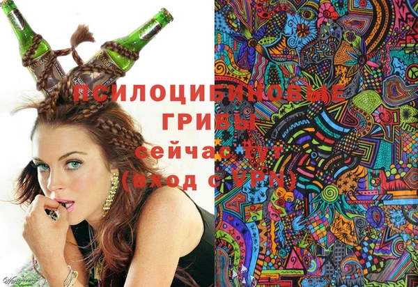 эйфоретик Аркадак