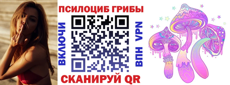 Псилоцибиновые грибы прущие грибы  Почеп 